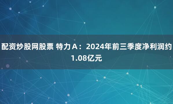 配资炒股网股票 特力Ａ：2024年前三季度净利润约1.08亿元