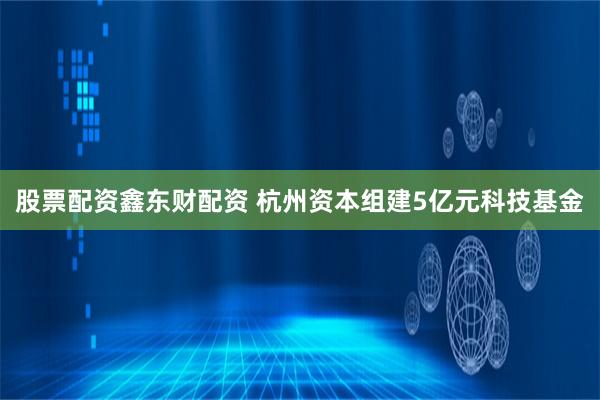 股票配资鑫东财配资 杭州资本组建5亿元科技基金